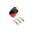 Connector P65 Ignition coil