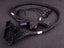 MaxxECU RACE adapter harness Ford Focus RS 2010 (ME 9.0)