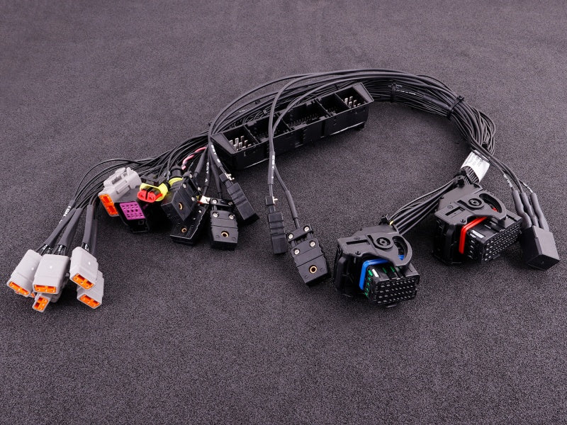 BMW M54 Plugin adapter (MaxxECU RACE) Peamine pilt