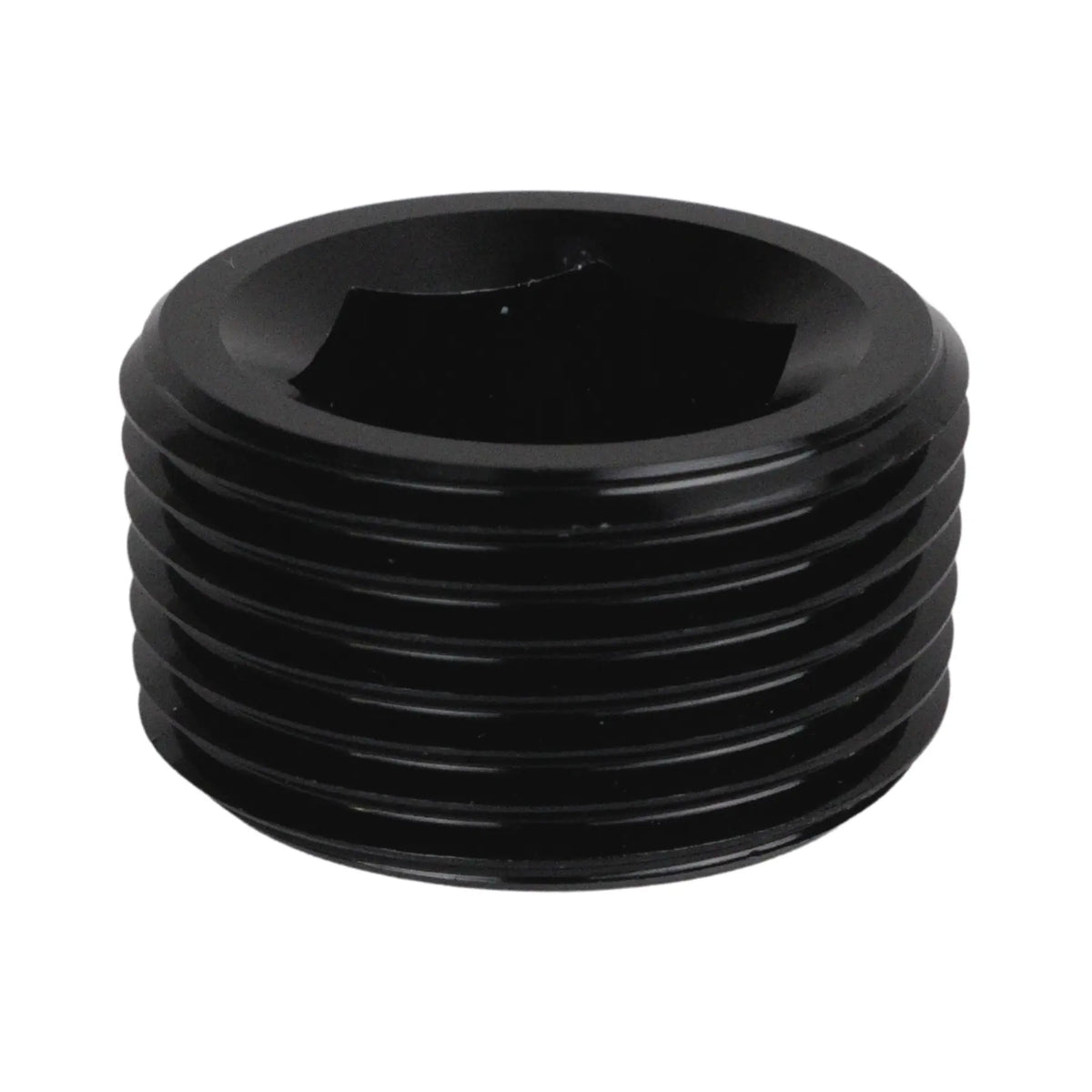 1/4" NPT Plugg